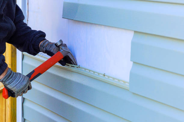 Best Steel Siding Installation  in Forest Heights, TX